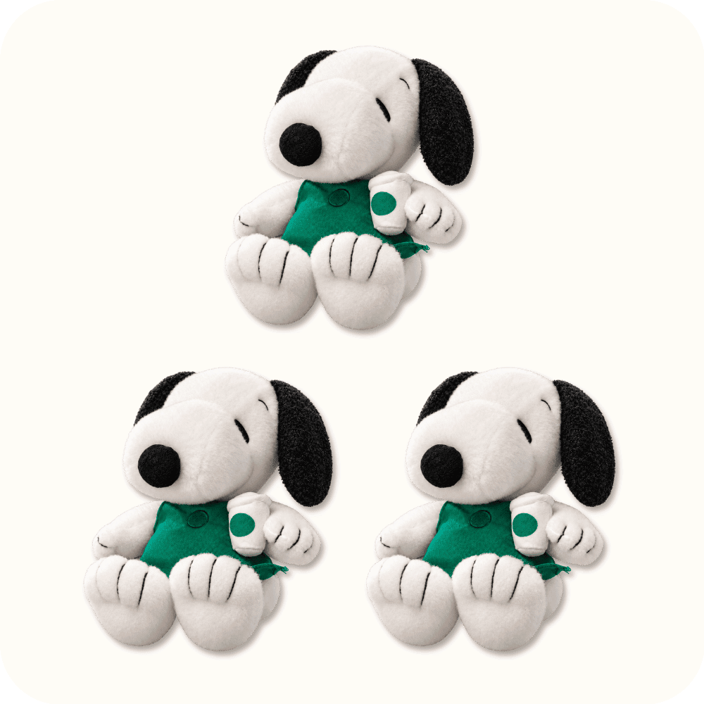 Starbucks Snoopy Plush 3PCS Starbucks Snoopy Plush 3PCS
